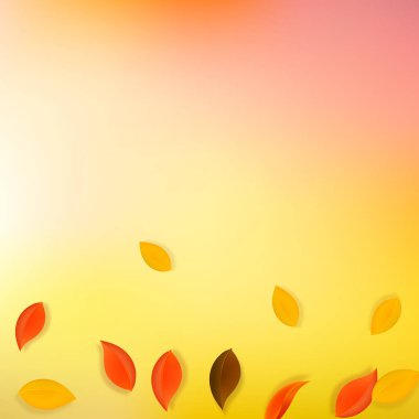 Sonbahar yaprakları dökülüyor. Kırmızı, sarı, yeşil, kahverengi