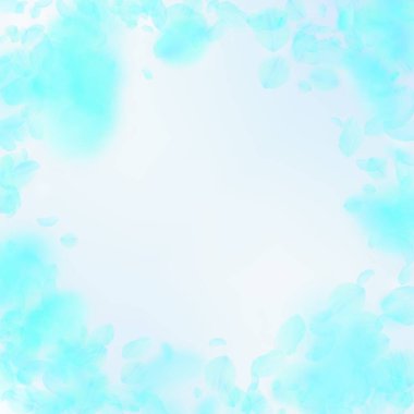 Turkuaz çiçek yaprakları dökülüyor. Kıymetli rom.