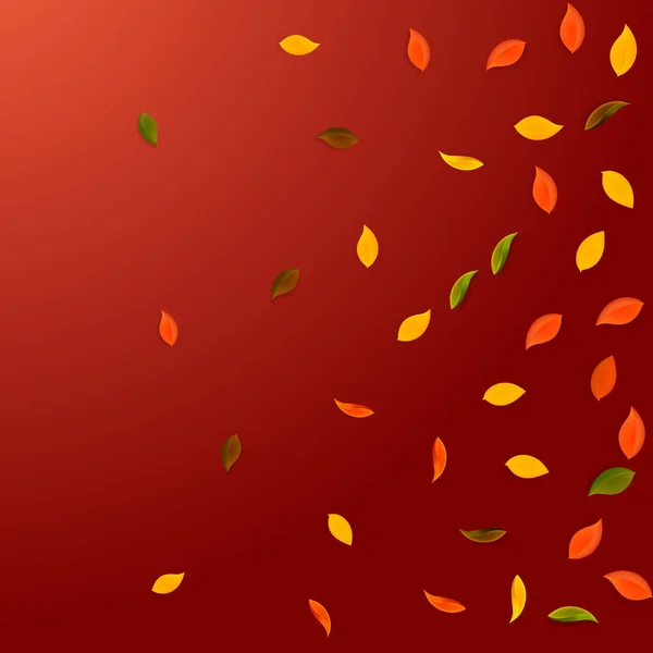 Hojas de otoño cayendo. Rojo, amarillo, verde, marrón r — Archivo Imágenes Vectoriales
