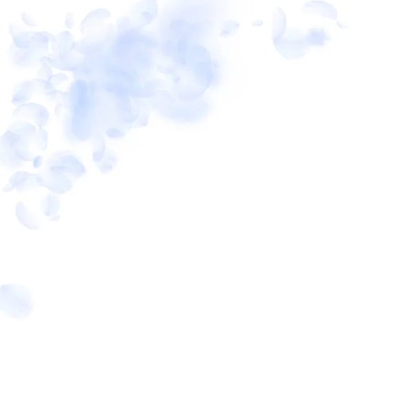 Pétales de fleurs bleu clair tombant. Imaginatif — Image vectorielle
