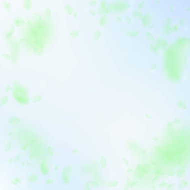 Yeşil çiçek yaprakları dökülüyor. Enerjik Romantizm