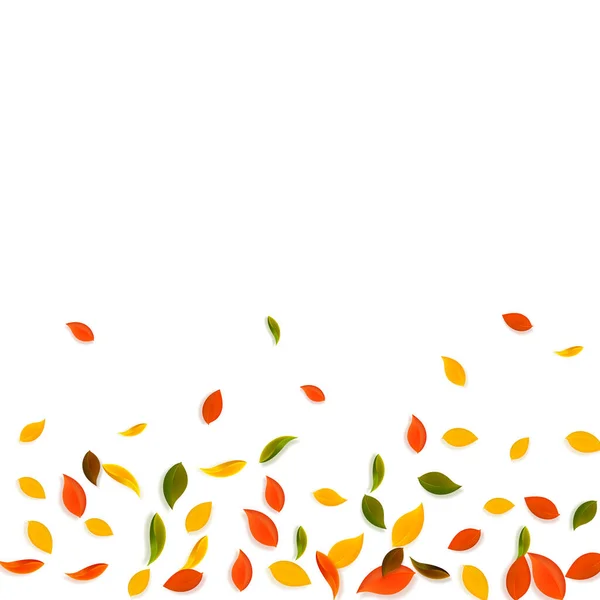 Vallende herfstbladeren. Rood, geel, groen, bruin — Stockvector