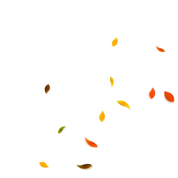 Folhas de outono caindo. Vermelho, amarelo, verde, marrom r —  Vetores de Stock