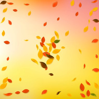 Sonbahar yaprakları dökülüyor. Kırmızı, sarı, yeşil, kahverengi c