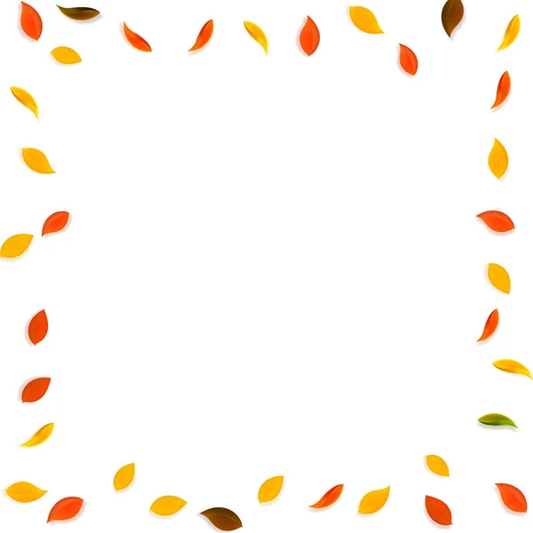 Feuilles d'automne tombantes. Rouge, jaune, vert, brun r — Image vectorielle