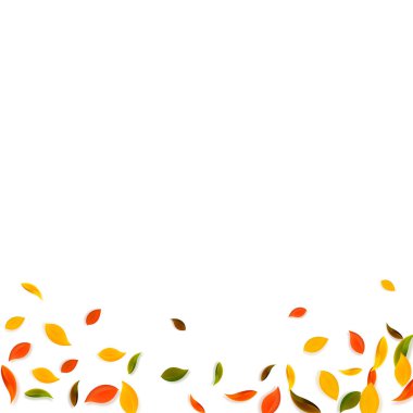 Sonbahar yaprakları dökülüyor. Kırmızı, sarı, yeşil, kahverengi c