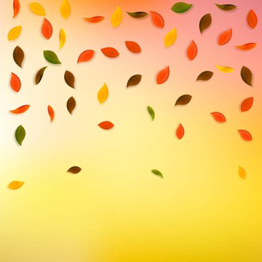 Sonbahar yaprakları dökülüyor. Kırmızı, sarı, yeşil, kahverengi...