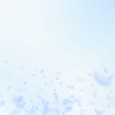 Açık mavi çiçek yaprakları dökülüyor. İdeal Roman