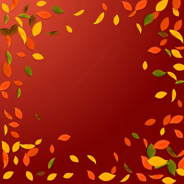 Feuilles d'automne tombantes. Rouge, jaune, vert, brun c — Image vectorielle