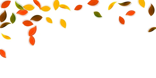 Vallende herfstbladeren. Rood, geel, groen, bruin n — Stockvector