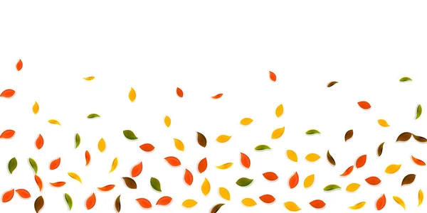 Hojas de otoño cayendo. Rojo, amarillo, verde, marrón r — Archivo Imágenes Vectoriales