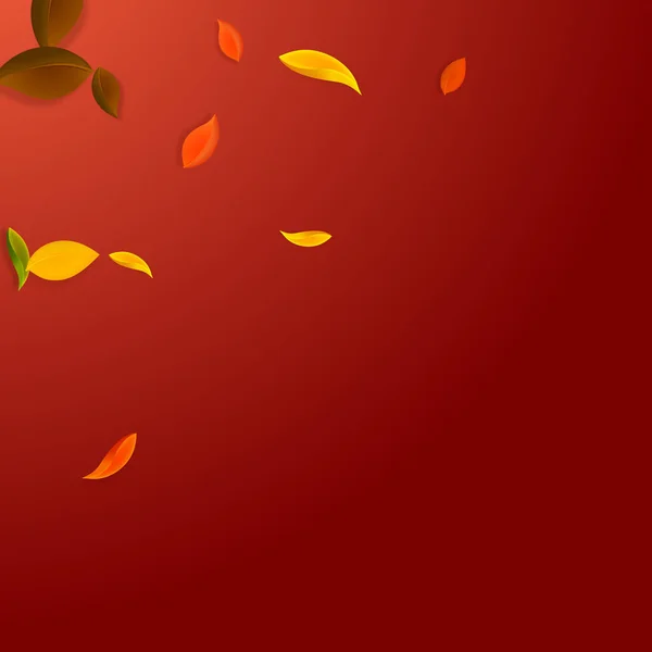 Падіння осіннього листя. Червоний, жовтий, зелений, коричневий c — стоковий вектор