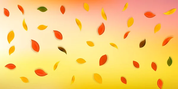 Πτώση φθινοπωρινών φύλλων. Κόκκινο, κίτρινο, πράσινο, καφέ n — Διανυσματικό Αρχείο