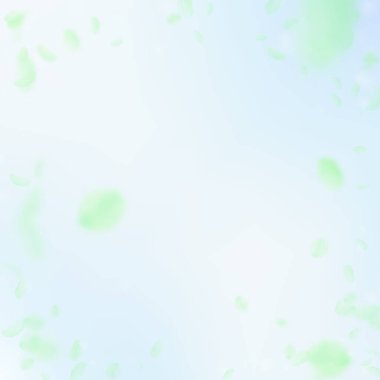 Yeşil çiçek yaprakları dökülüyor. Zarif romanti.