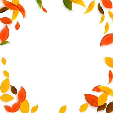 Sonbahar yaprakları dökülüyor. Kırmızı, sarı, yeşil, kahverengi c