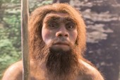 Neandertaler-Figur, Nachbildung eines menschlichen Vorfahren