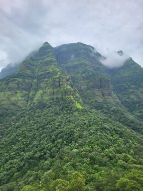 Dağ ve Gök Hint ormanlarında
