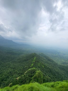 Dağ ve Gök Hint ormanlarında