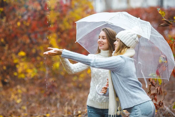 Chicas Guapas Jóvenes Divirtiéndose Aire Libre Fondo Otoño Amigos Alegres —  Fotos de Stock