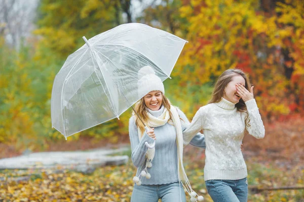 Chicas Guapas Jóvenes Divirtiéndose Aire Libre Fondo Otoño Amigos Alegres —  Fotos de Stock