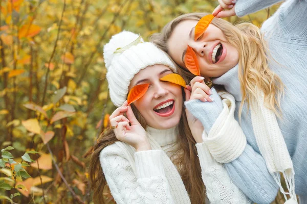 Giovani Belle Ragazze Divertono All Aperto Autunno Sfondo Amici Allegri — Foto Stock