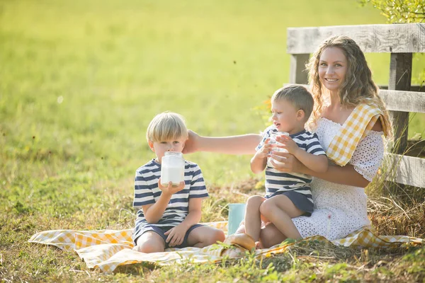 Jovem Mãe Bonita Fazendo Piquenique Com Seus Filhos Pequenos — Fotografia de Stock