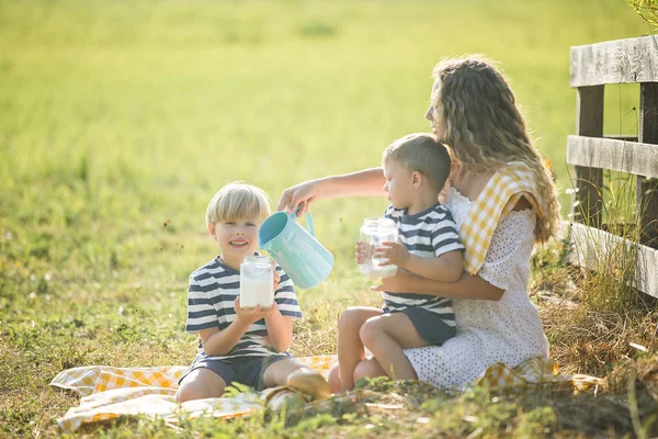 Jovem Mãe Bonita Fazendo Piquenique Com Seus Filhos Pequenos — Fotografia de Stock