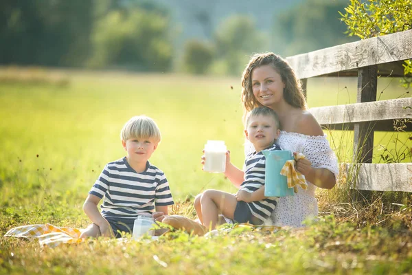 Jovem Mãe Bonita Fazendo Piquenique Com Seus Filhos Pequenos — Fotografia de Stock