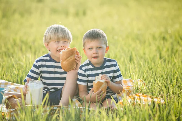 Милі Хлопчики Ють Молоко Їдять Хліб Відкритому Повітрі Хлопці Фермі — стокове фото