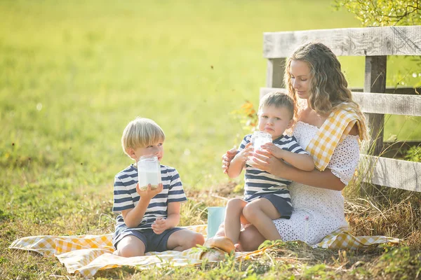 Young Pretty Mother Having Picnic Her Little Children — Stock Photo, Image