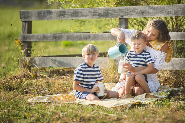 Young Pretty Mother Having Picnic Her Little Children — Stock Photo, Image