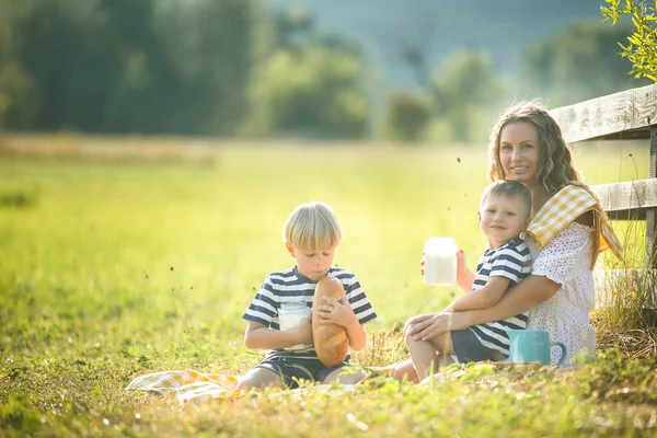 Joven Linda Madre Haciendo Picnic Con Sus Pequeños Hijos — Foto de Stock