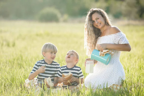 Jeune Jolie Mère Pique Niquer Avec Ses Petits Enfants — Photo