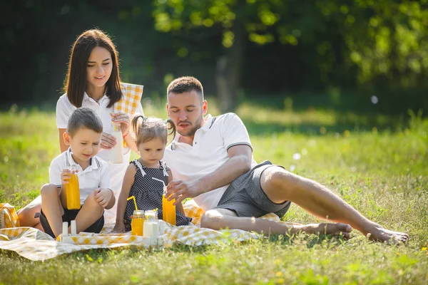 Família Feliz Piquenique Parque — Fotografia de Stock