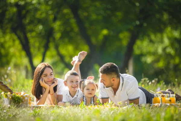 Счастливая Семья Пикнике Парке — стоковое фото