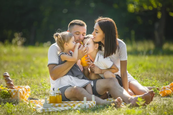 Happy family on picnic at park