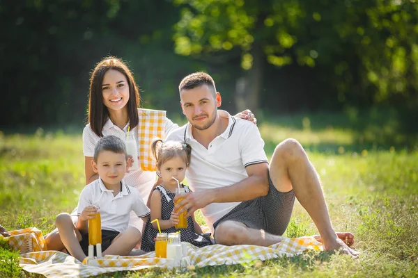 Família Feliz Piquenique Parque — Fotografia de Stock