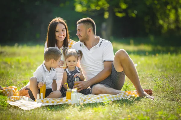 Familia Feliz Picnic Parque — Foto de Stock