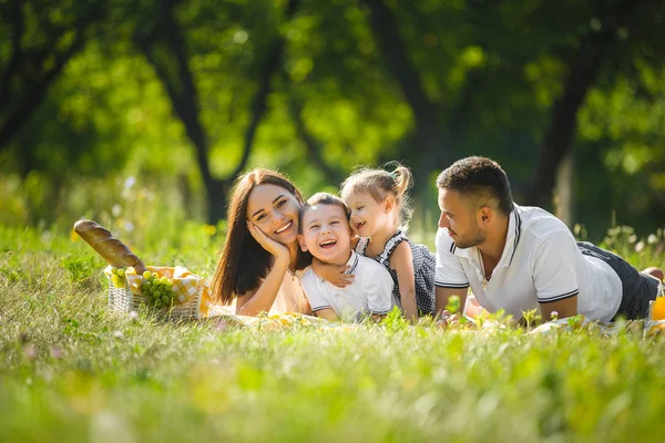 Mutlu aile piknik Park üzerinde