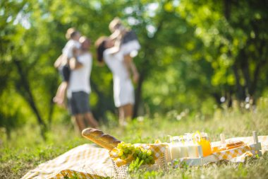 Tanınmayan aile Parkta piknik.