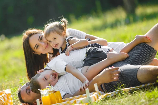 Bonne Famille Sur Pique Nique — Photo