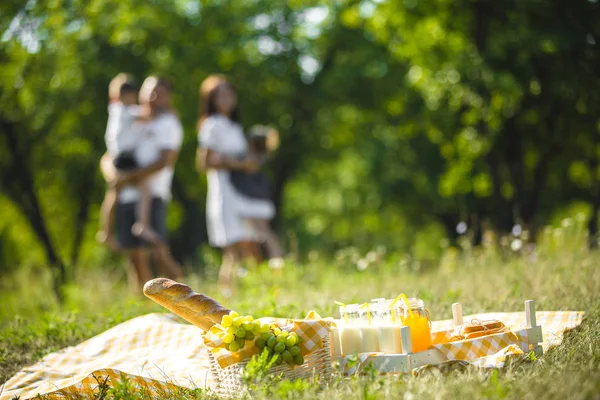 Onherkenbaar Familie Picknick Voorzijde Nog Van Picknick Voedsel Familie Achtergrond — Stockfoto