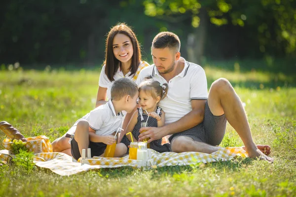 Alegre Familia Picnic Padres Cenando Con Sus Hijos Aire Libre — Foto de Stock