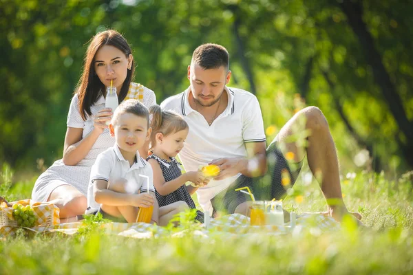 Веселая Семья Устраивает Пикник Родители Ужинают Своими Детьми Открытом Воздухе — стоковое фото