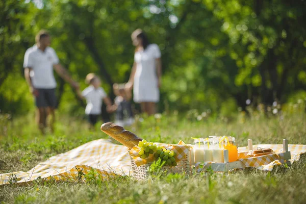 公園でピクニックを持っている認識できない家族 — ストック写真