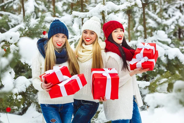 Fidanzate Divertirsi Con Regali Natale All Aperto Donne Con Dei — Foto Stock