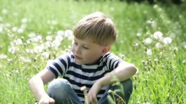 Sevimli küçük çocuk üfleme karahindiba