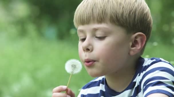 Sevimli Küçük Çocuk Üfleme Karahindiba — Stok video