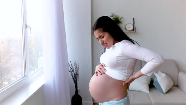 Ung Gravid Kvinna Inomhus Gravid Kvinna — Stockvideo