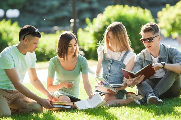 stock image Group of students learning a lesson outdoors. Students reading text books or tutorial. Youth studying in the park.